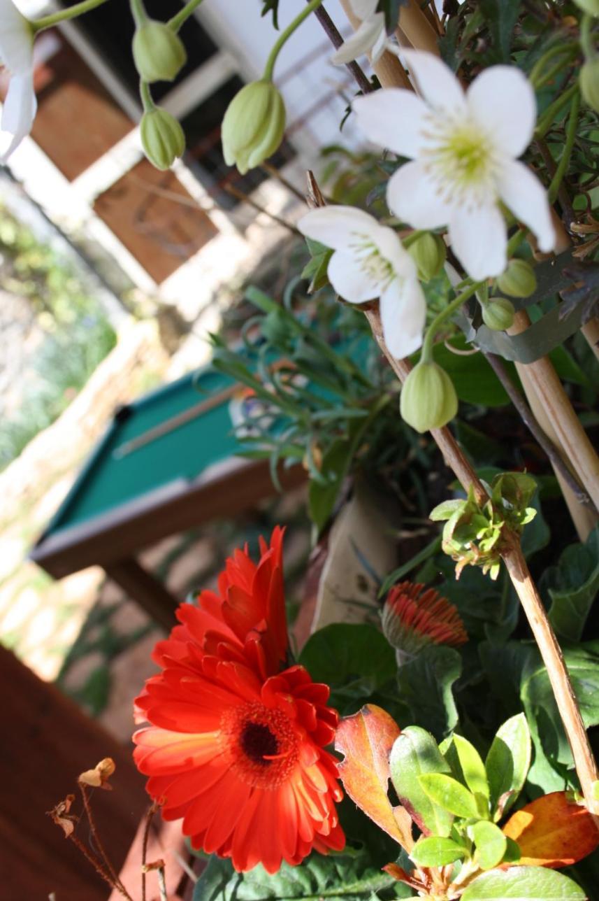 Bed and Breakfast La Cascata Noci Exterior foto